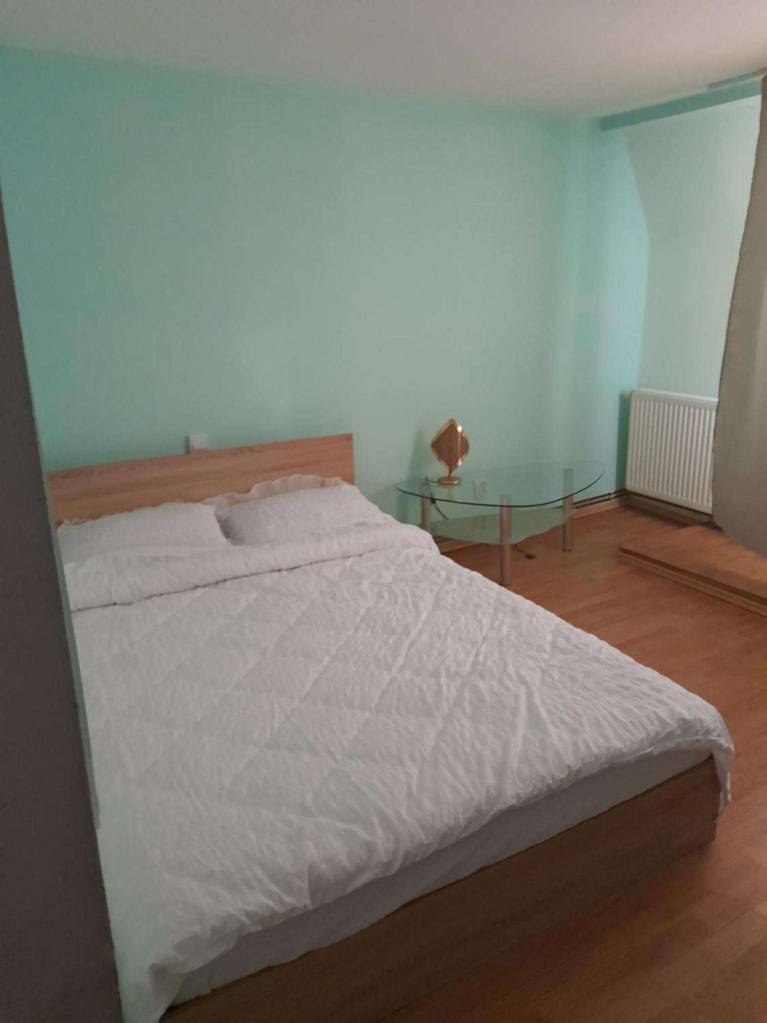 Garsoniera Sic Zona Terapia Zona Linistita La Casa Cu Parcare Lejlighed Cluj-Napoca Eksteriør billede